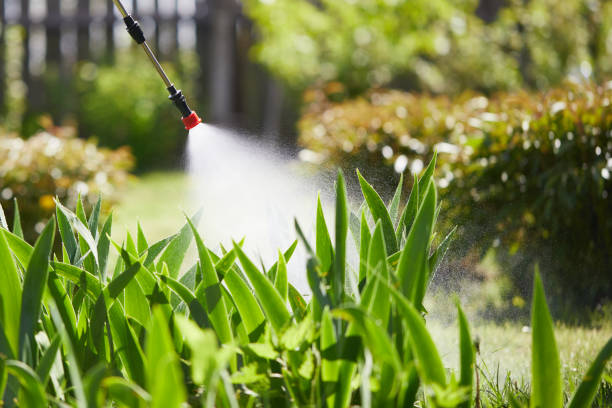 24/7 Emergency Mosquito Control experts in Powder Springs, GA