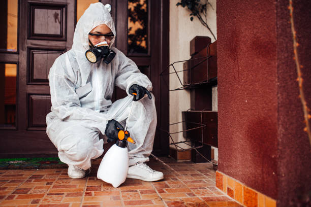Reliable Mosquito Control contractor in Powder Springs, GA by Show Me Pest Control