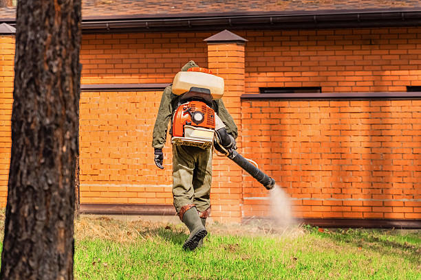 Top rated local Mosquito Control specialists in Powder Springs, GA